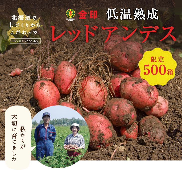 新じゃがレッドアンデス