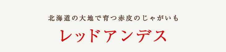 レッドアンデス