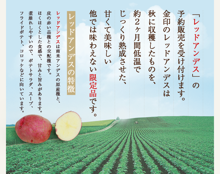 予約販売を受け付けます。