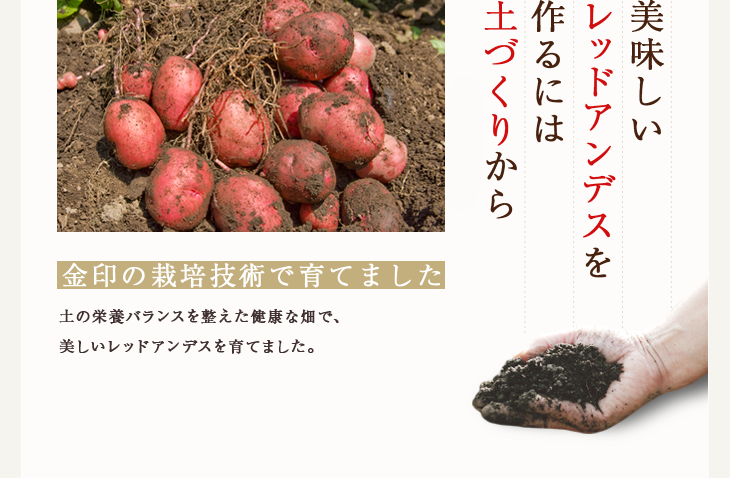 まずは土づくりから