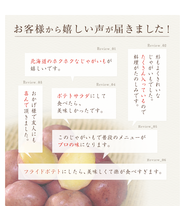 レビュー