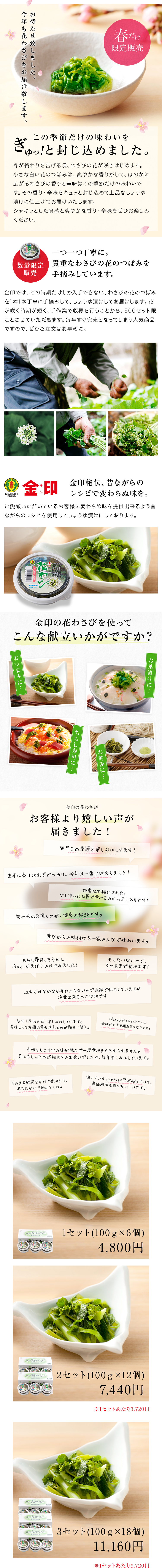 季節限定 22年度生産品 金印 花わさび 100g 18個