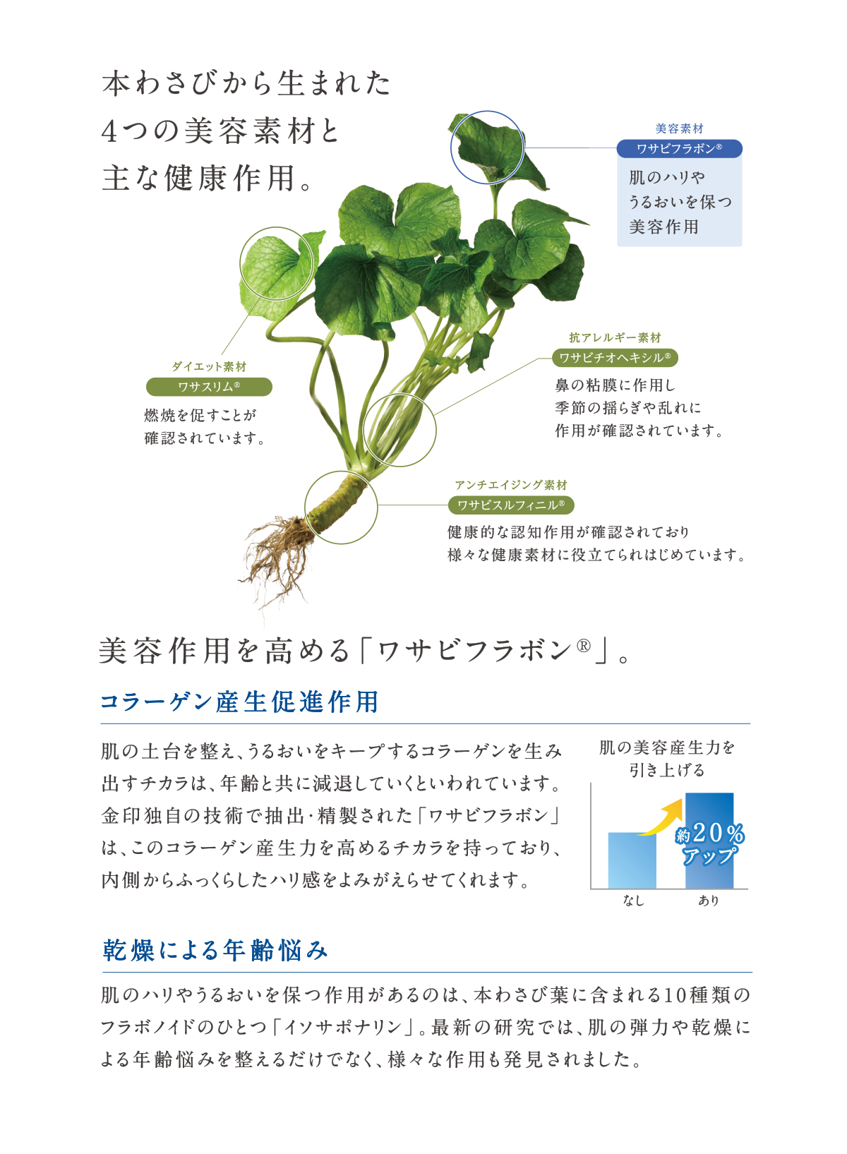サンスルフィー 美要化粧品 トライアル3点セット 化粧水・乳液 サンスルフィー 美要化粧品 トライアル3点セット 化粧水・乳液