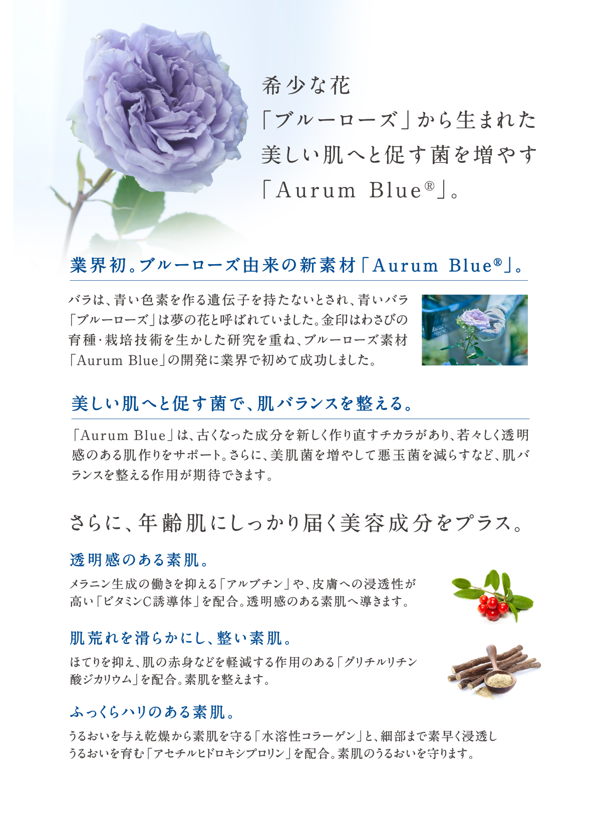 サンスルフィー 美要化粧品 トライアル3点セット 化粧水・乳液 サンスルフィー 美要化粧品 トライアル3点セット 化粧水・乳液